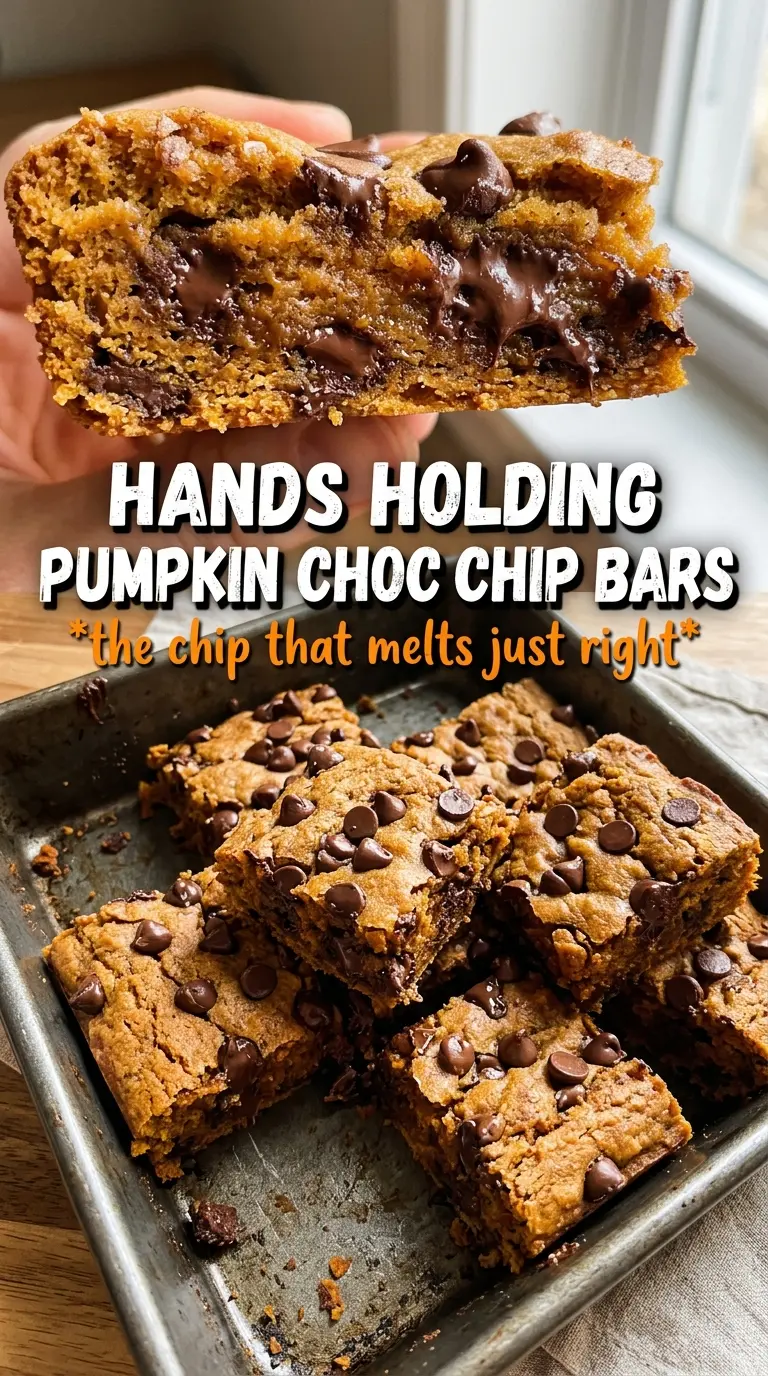 Pumpkin Chocolate Chip Bars moist spiced chocolate