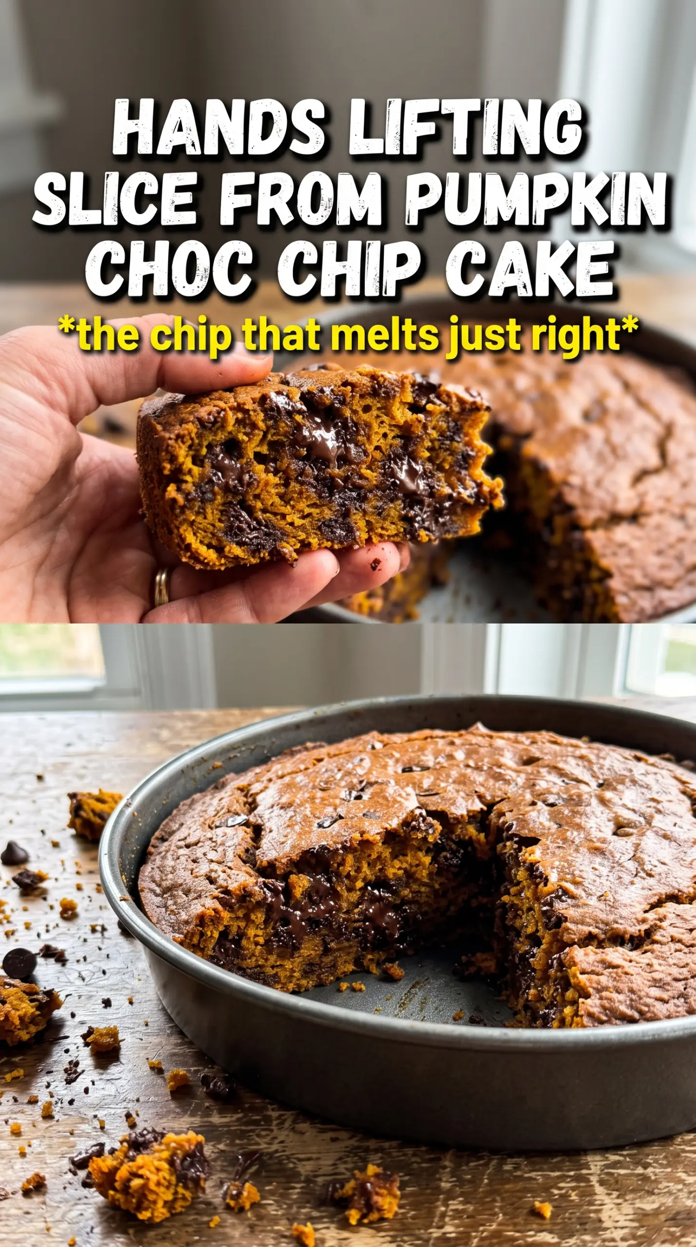 Pumpkin Chocolate Chip Cake moist chocolatey frosted