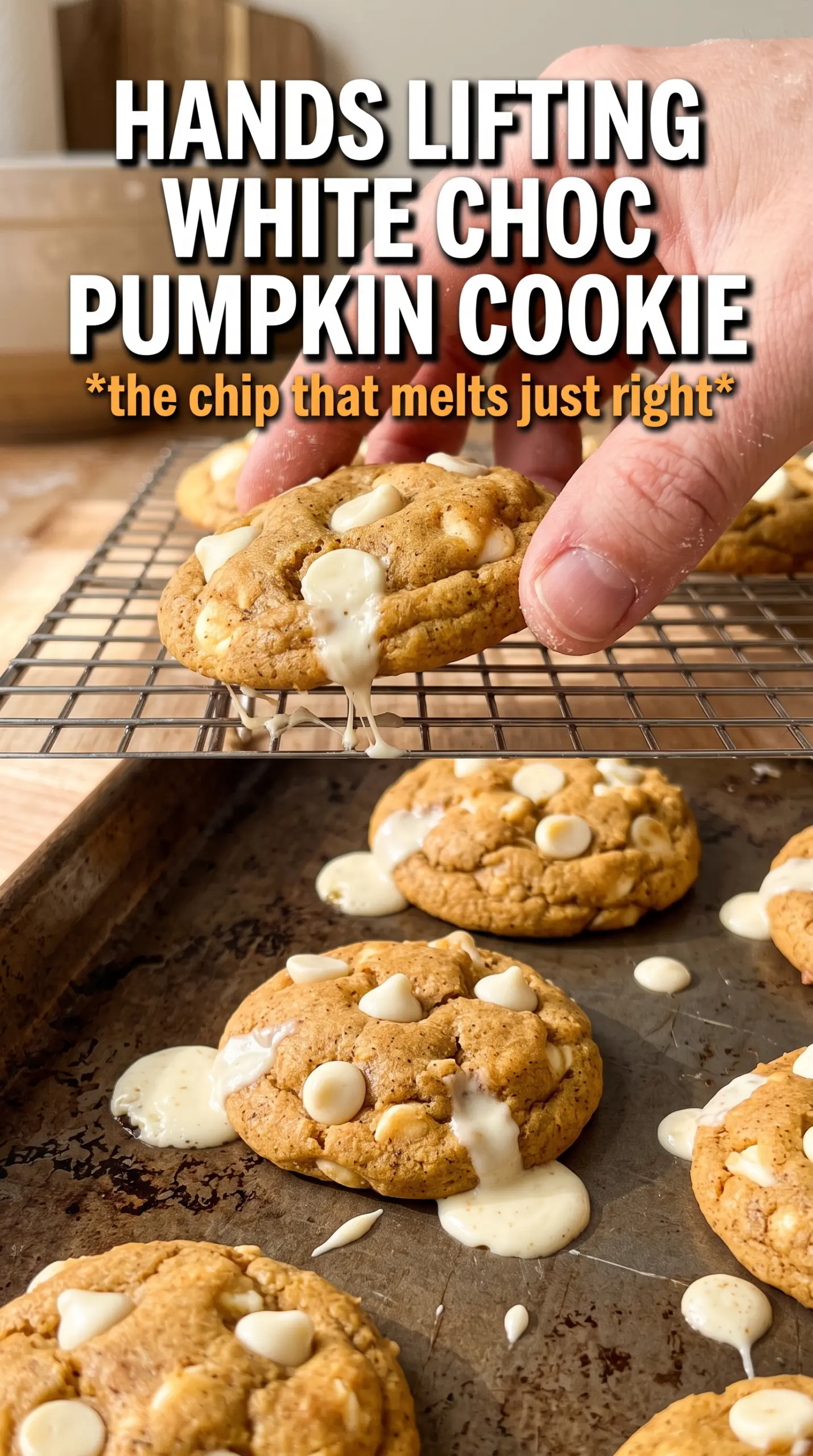 Pumpkin White Chocolate Chip Cookies soft chewy spiced