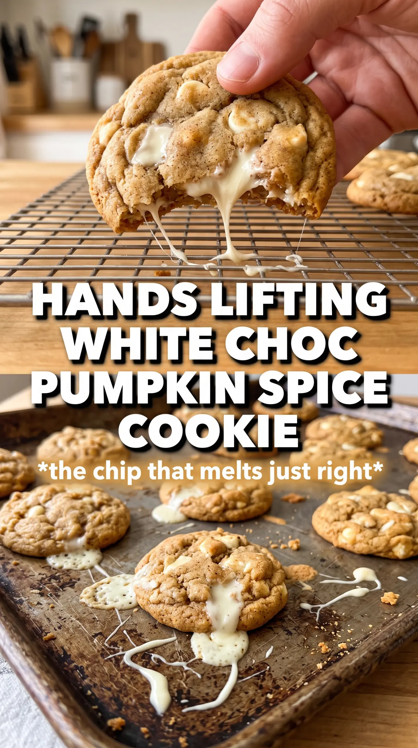 White Chocolate Chip Pumpkin Spice Cookies, spiced, melty, golden